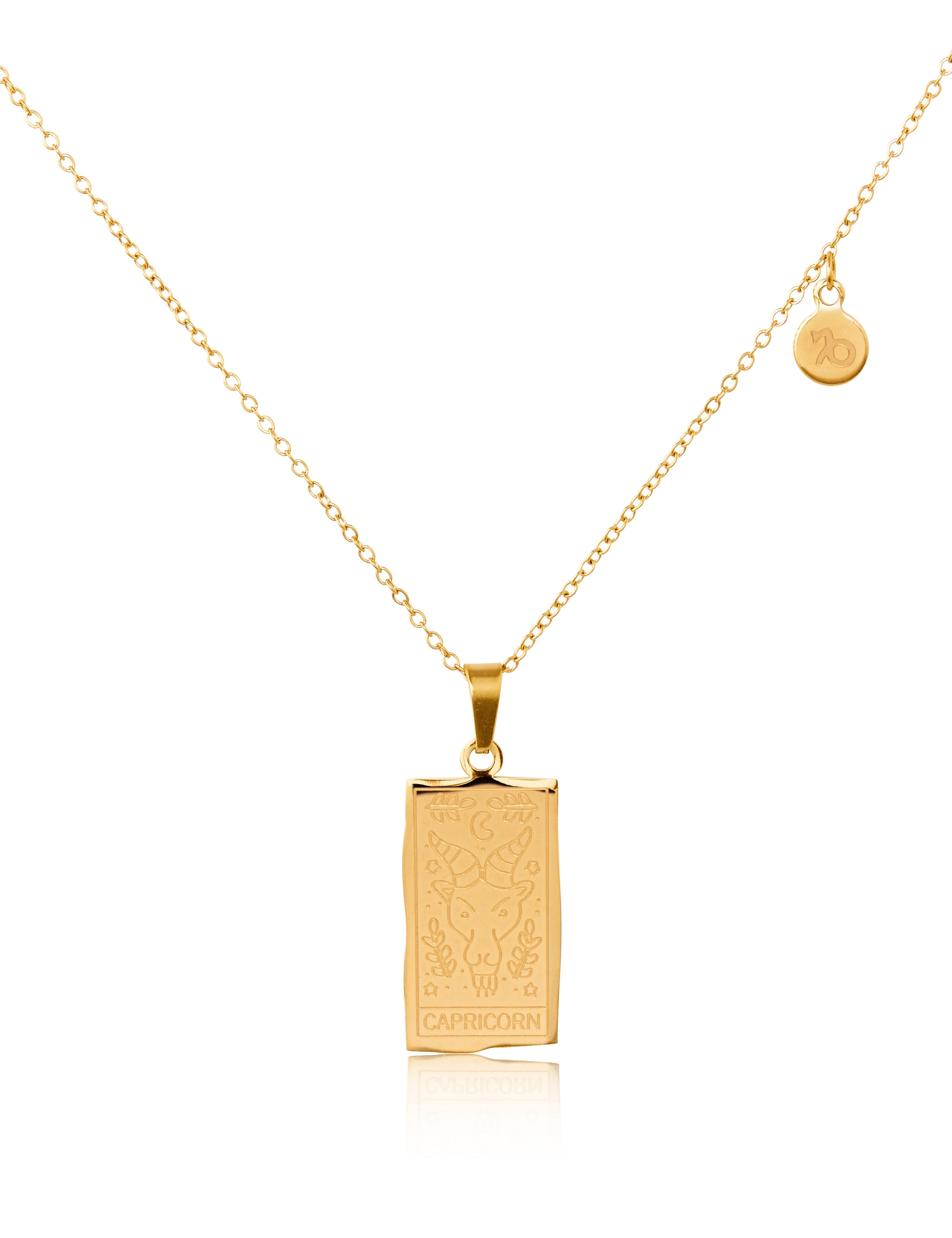 Zodiac Star Sign Necklace - Pisces