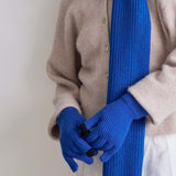 The Recycled Bottle Gloves