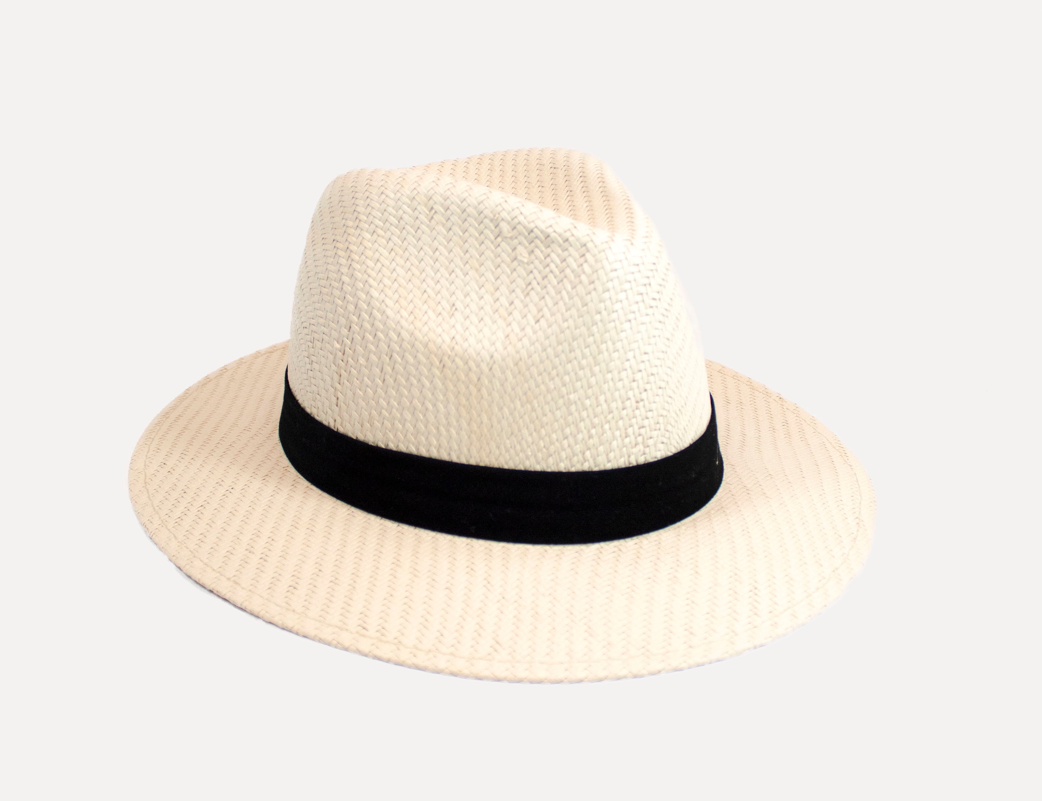 The Panama Hat